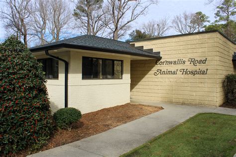 Expert Pet Care at Cornwallis Road Animal Hospital in Durham, NC - Trustworthy Vets for Your Beloved Companion!
