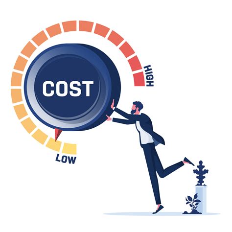 Cost & Care: Essential Guide to Maintaining Your Investment