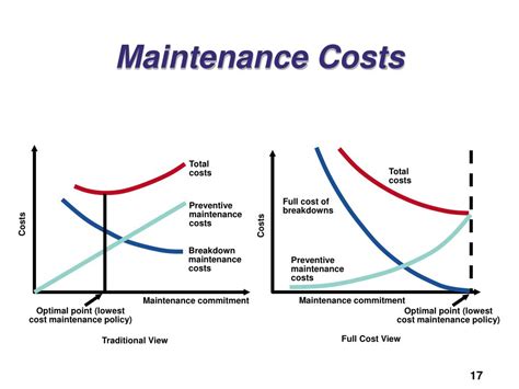Cost Breakdown: Maintenance and Support