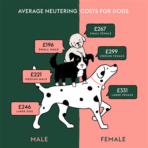 Get Your Pup Fixed: Understanding the Cost for Neutering a Dog