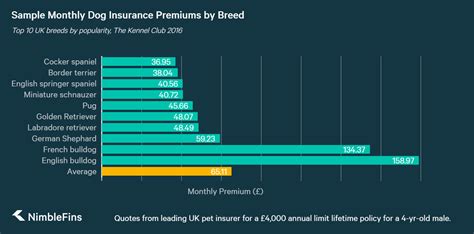 Cost Of Pet Insurance Uk
