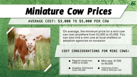 Infographic showing breakdown of cow processing costs