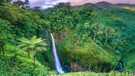 Costa Rica Rainforest View