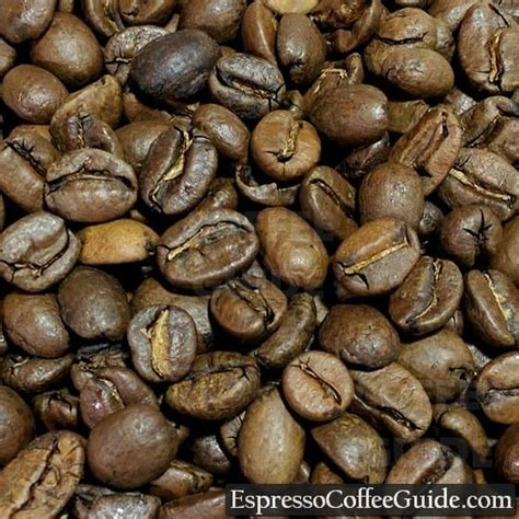 Costa Rican coffee beans
