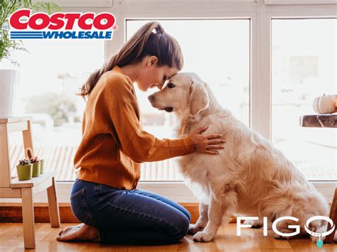 Costco Pet Insurance Discount JHONI PET