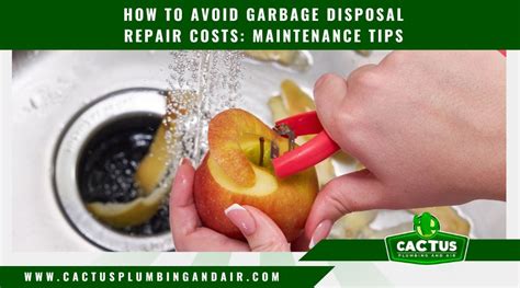 Costs and Preparation Tips for Disposal