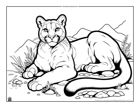 Cougar Coloring Page