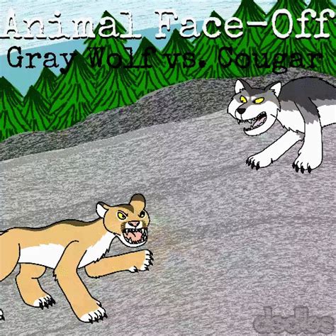 Unleashing the Wild: A Thrilling Cougar vs Wolf Animal Face Off