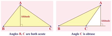 Uncovering the Truth: A Guide to Counterexample Definition in Geometry with Real-World Examples