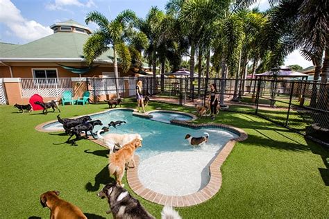 Country Inn Pet Resort
