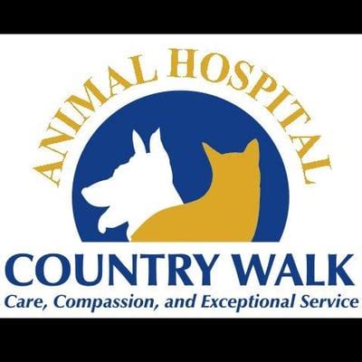 Trusted Pet Care Services at Country Walk Animal Hospital - Your Furry Friend Deserves the Best!