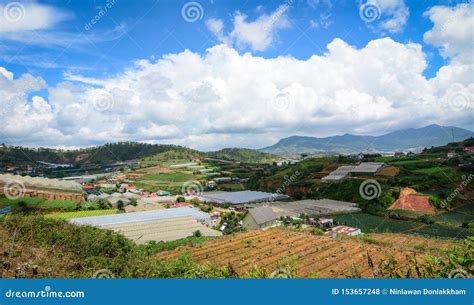Countryside Dalat