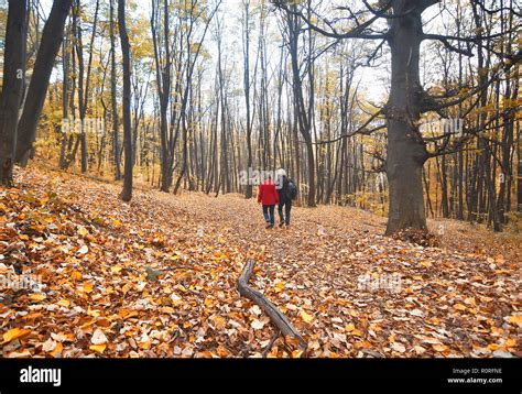 Couple walking Novi Sad