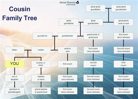 Cousin Chart Family Tree