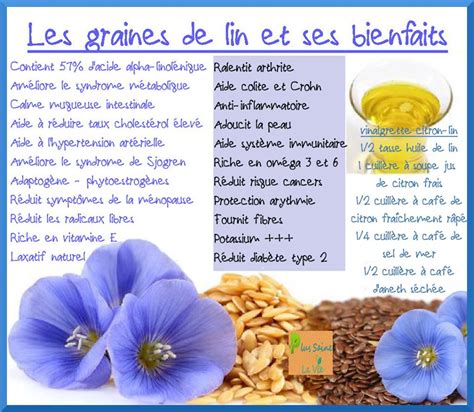 Coussin graines de lin | Securimed