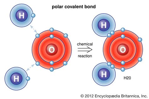 Covalent Bond