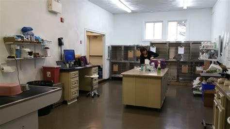 Trust Your Pet's Health to Coventry Animal Hospital RI: Expert Care for Happy Pets