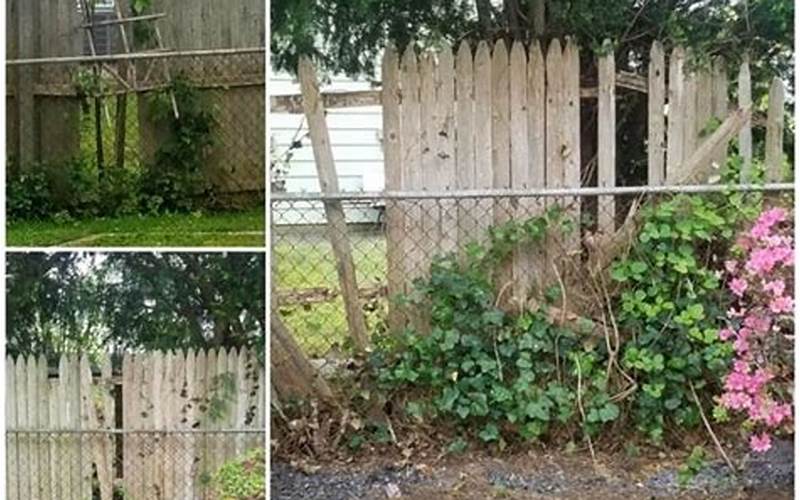 Cover Your Neighbor'S Ugly Privacy Fence: A Comprehensive Guide