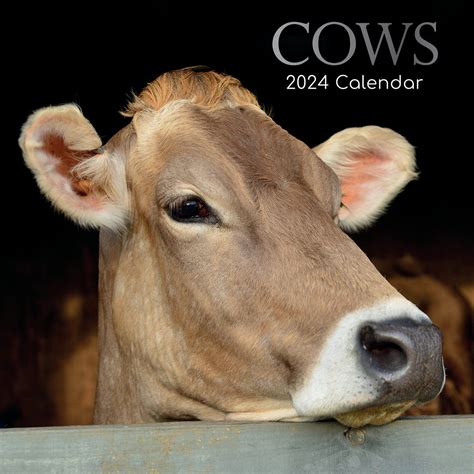 Calendars & Planners Paper Highland Cow Version 20222023 Digital and