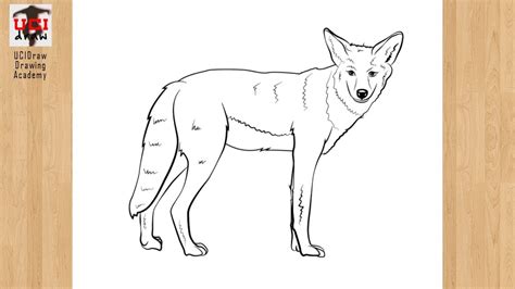 Coyote Draw