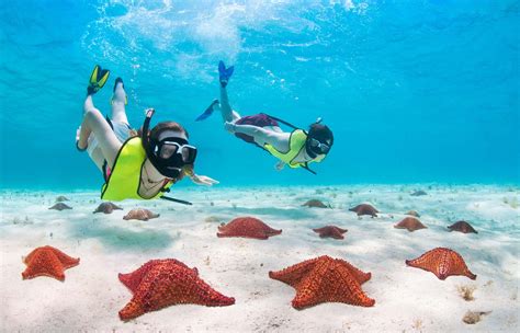 Cozumel Excursion Planning