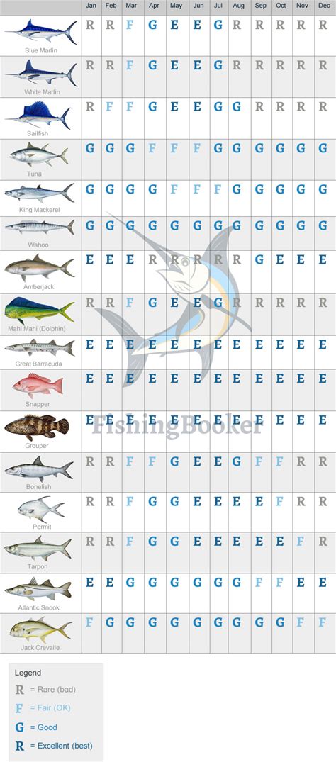 Cozumel Fishing Calendar