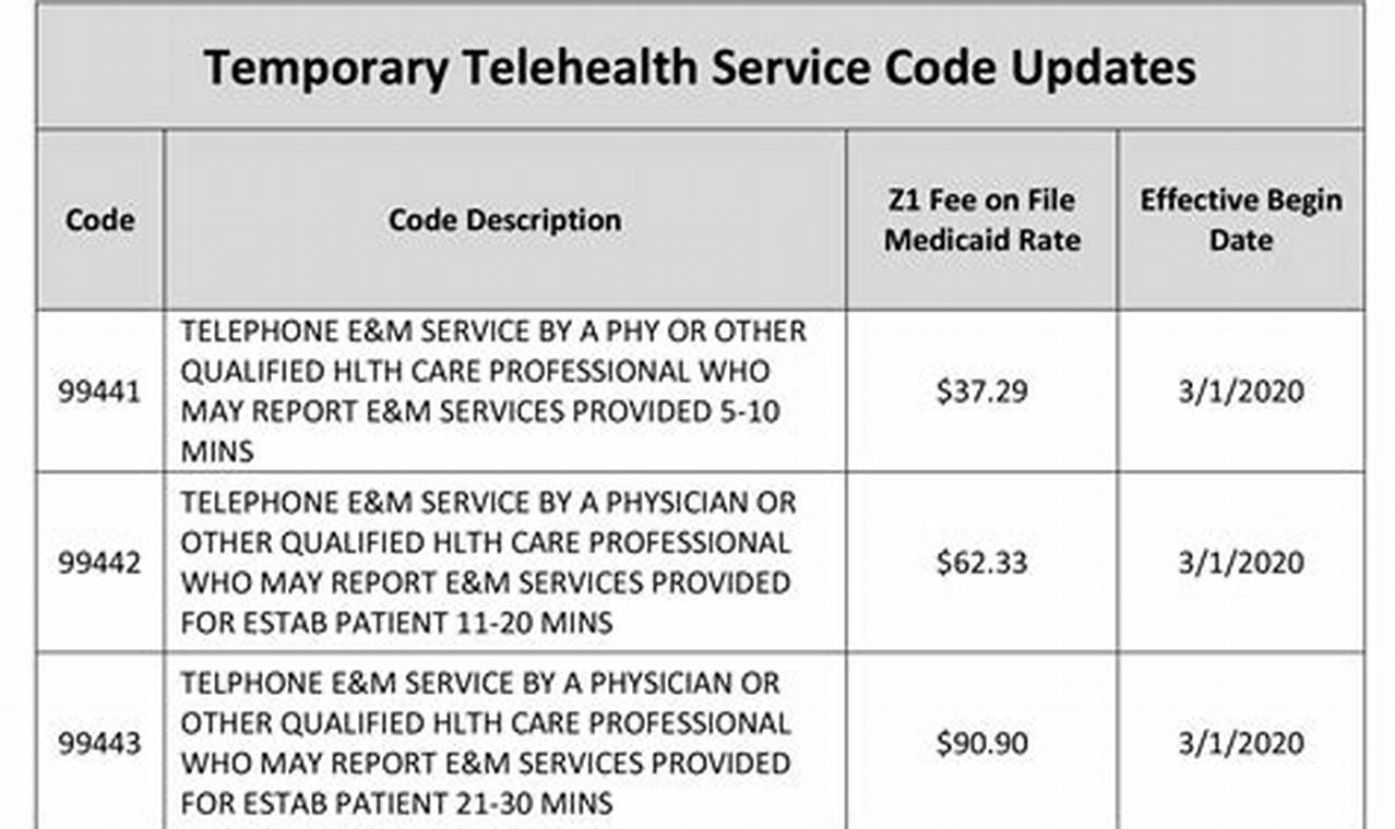 Cpt Codes For Telehealth 2024
