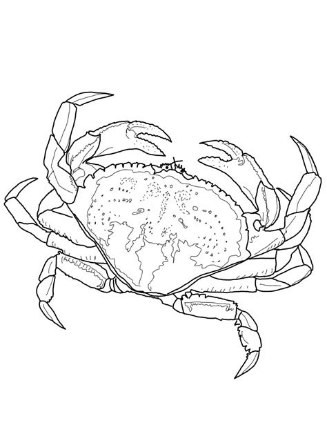 Crab Printable Coloring Page