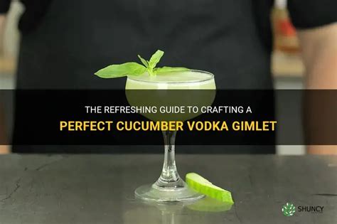 Crafting Your Perfect Vodka Gimlet A Step-by-Step Guide