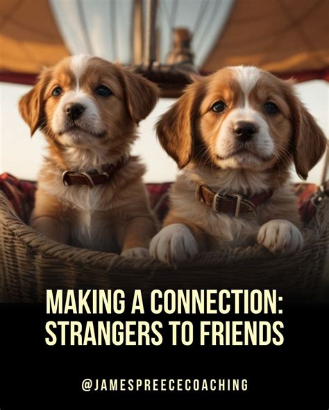 Craigslist Connection How Strangers Became Unforeseen Friends