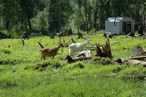 Cranberry Ridge Farm