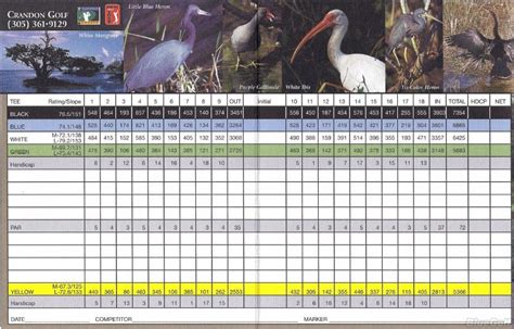 Unleash Your Inner Pro with Crandon Park Golf Course's Ultimate Scorecard