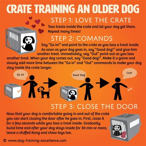 Crate Training Tips for Older Dogs