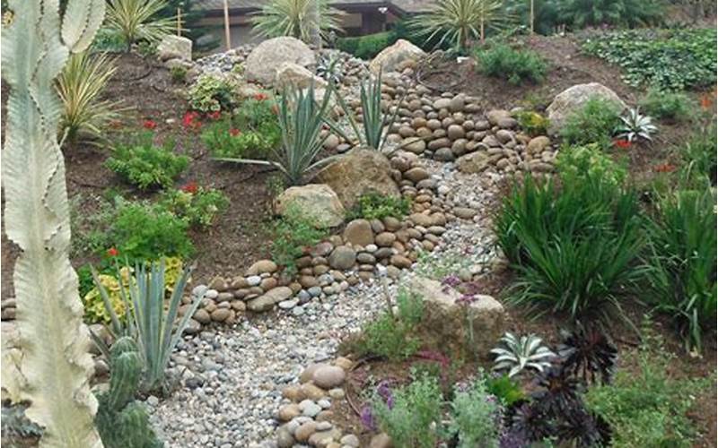 Create A Water-Wise Landscape