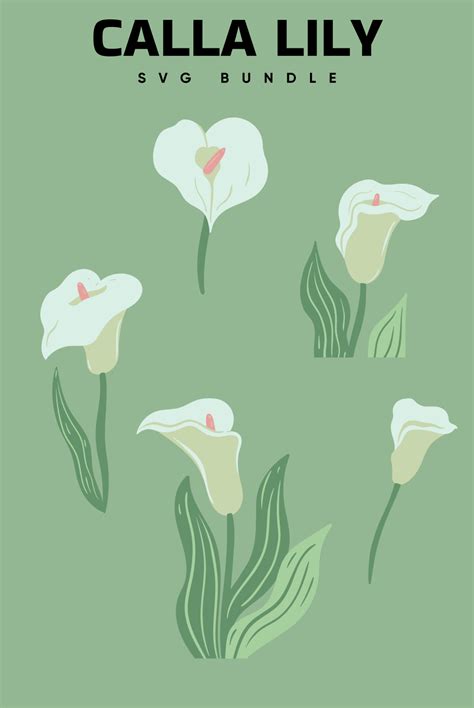 Create Amazing Designs with a Calla Lily SVG!