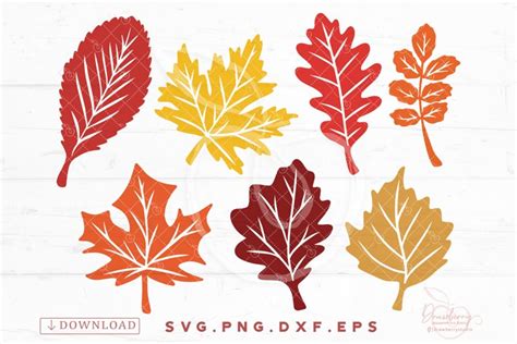 Create Amazing Fall Designs with this Free Leaf SVG!