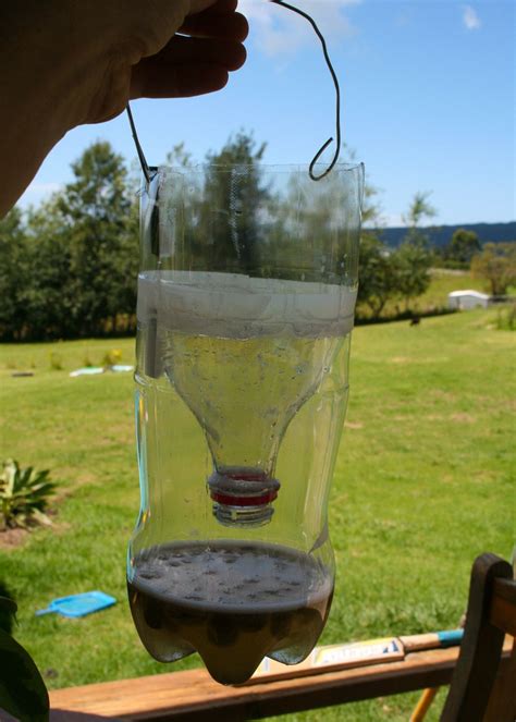 Create homemade deer fly traps