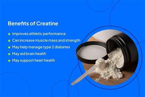 Creatine: Benefits & Side Effects – Explained.