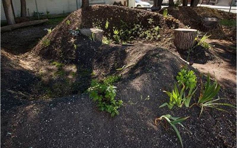 Creating Mounds In Raised Beds