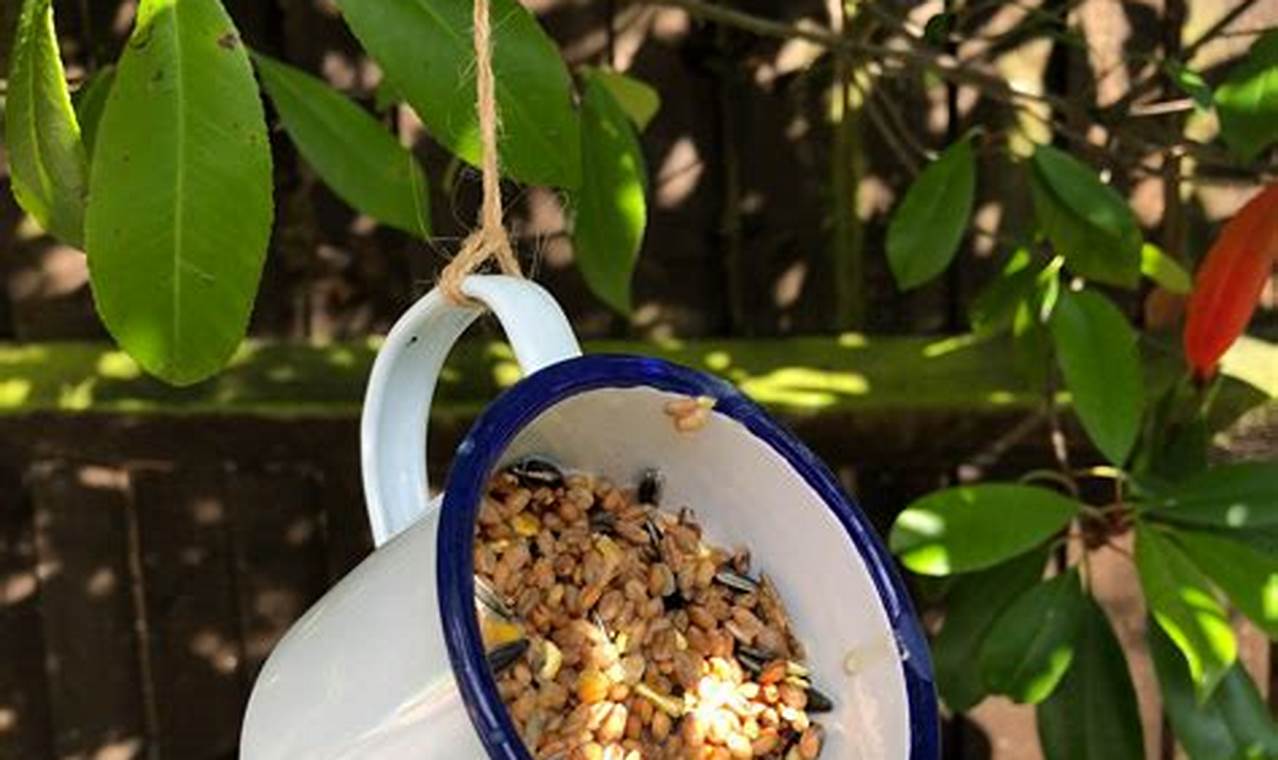Creating a DIY bird feeder for backyard birdwatching