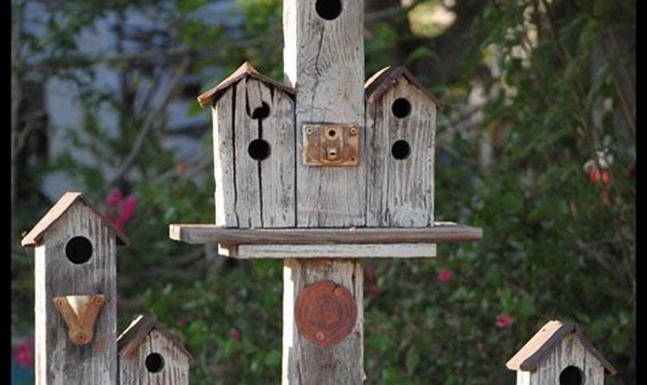 Creating a DIY birdhouse for backyard birdwatching