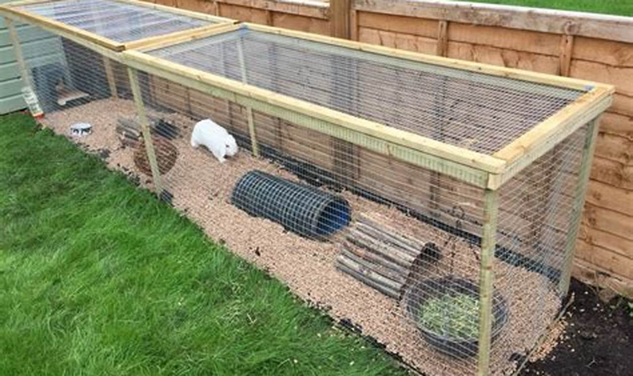 Creating a safe outdoor space for pet rabbits