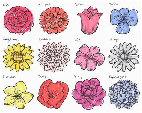 Creating Different Flower Types