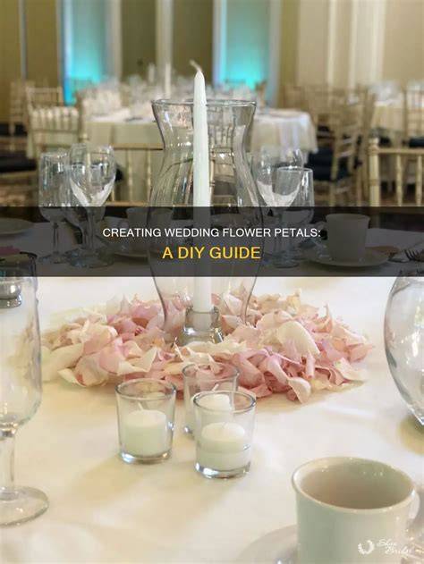 Creating Flower Petals