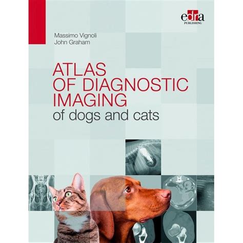 Creating a Diagnostic Log for Dogs
