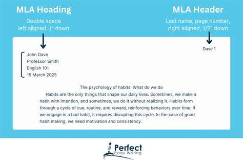 Creating the MLA Header and Running Head