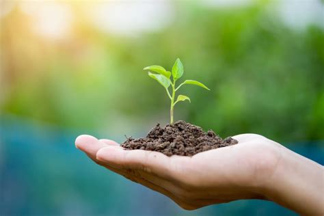 Creating the Right Environment
