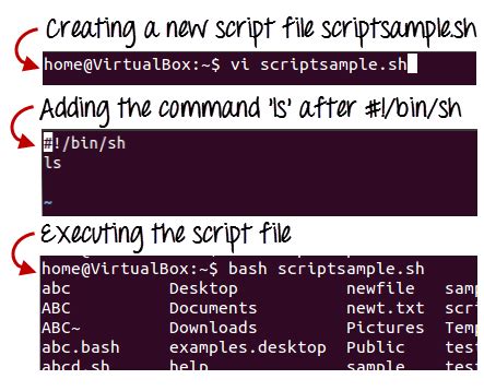 Creating the Shell Script File