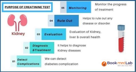 Creatinine Levels
