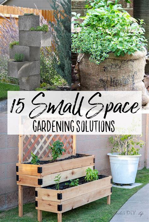 Creative Gardening Solutions